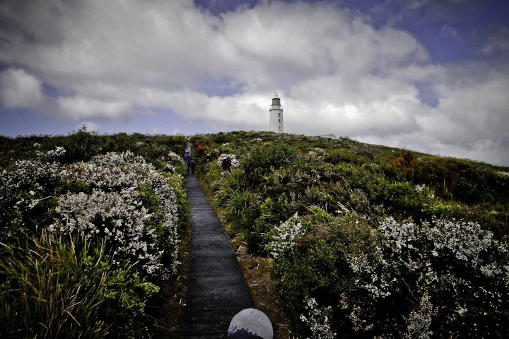 Cape Bruny Lighthouse Walk 